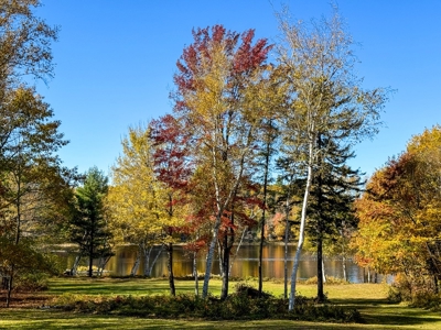 Riverside Living in Maine - Remodeled Ranch Home - image 13