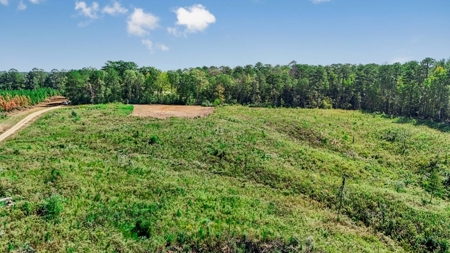 Small Hunting Tract in Amite County, MS - image 6