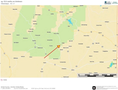 Small Hunting Tract in Amite County, MS - image 7