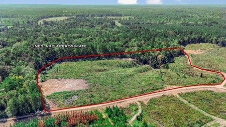 Small Hunting Tract in Amite County, MS - image 1