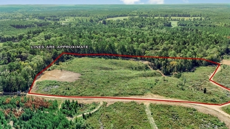 Small Hunting Tract in Amite County, MS - image 3