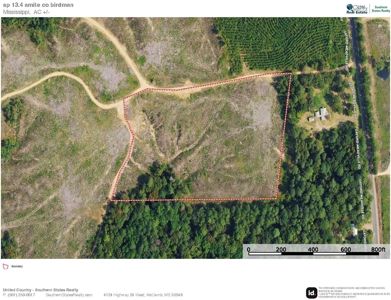 Small Hunting Tract in Amite County, MS - image 8