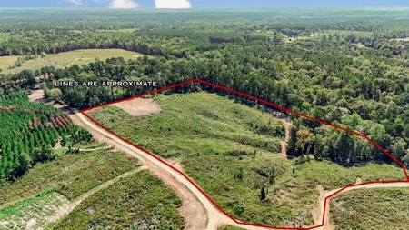 Small Hunting Tract in Amite County, MS - image 2