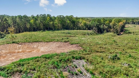 Small Hunting Tract in Amite County, MS - image 4