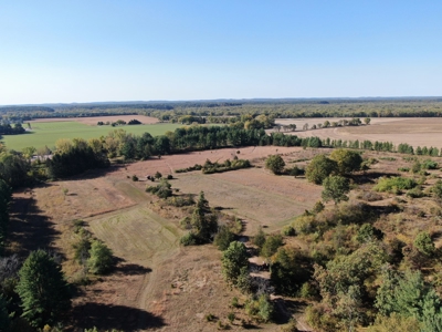 75 +/- Acres Just Minutes North of Wisconsin Dells - image 6