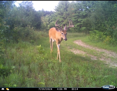 75 +/- Acres Just Minutes North of Wisconsin Dells - image 14