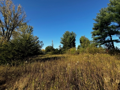 75 +/- Acres Just Minutes North of Wisconsin Dells - image 21