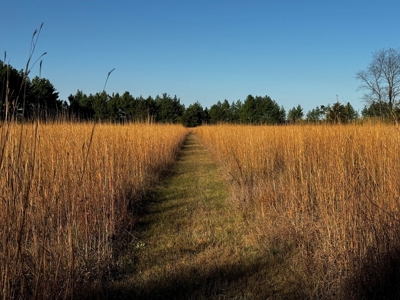 75 +/- Acres Just Minutes North of Wisconsin Dells - image 19