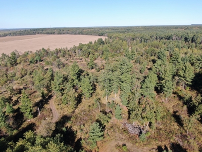 75 +/- Acres Just Minutes North of Wisconsin Dells - image 7