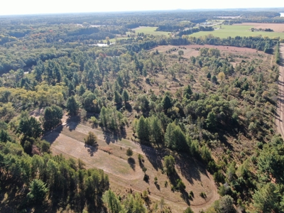 75 +/- Acres Just Minutes North of Wisconsin Dells - image 8