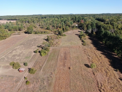 75 +/- Acres Just Minutes North of Wisconsin Dells - image 11