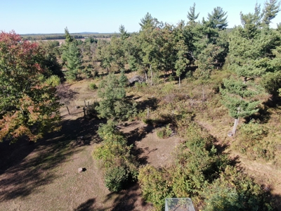 75 +/- Acres Just Minutes North of Wisconsin Dells - image 41