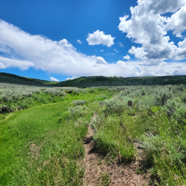Colorado Hunting Property