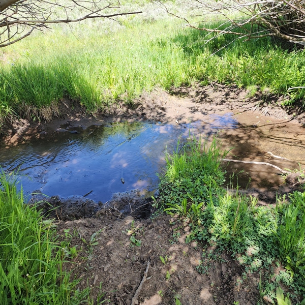 Colorado Hunting Property