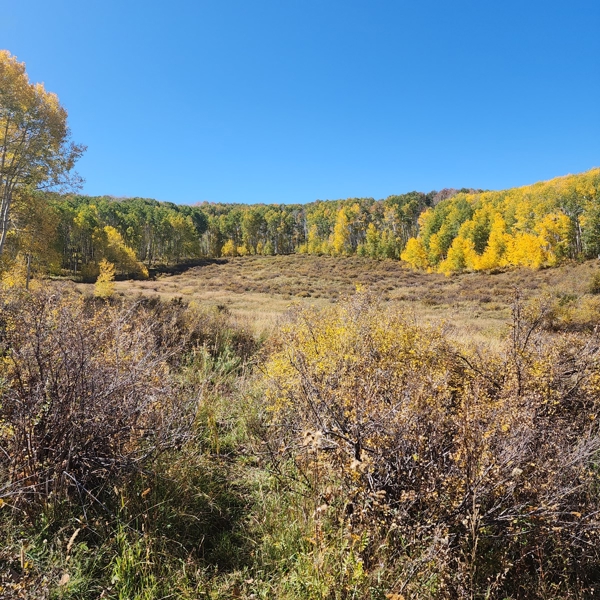 Colorado Hunting Property