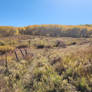 Colorado Hunting Property for Sale - image 24