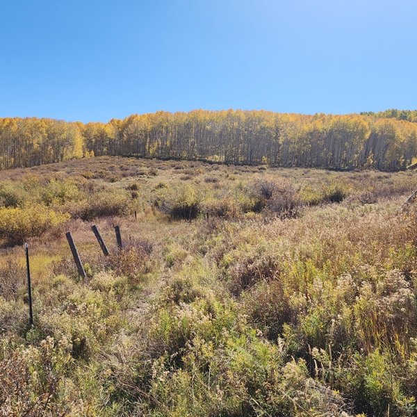 Colorado Hunting Property