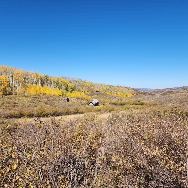 Colorado Hunting Property