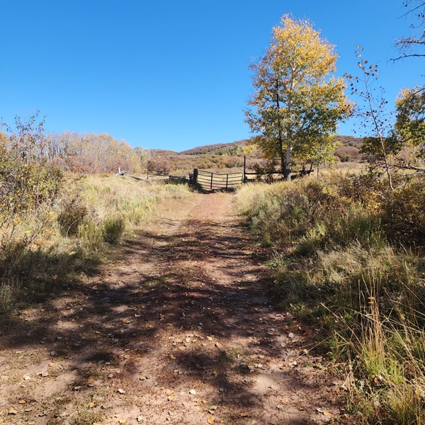 Colorado Hunting Property
