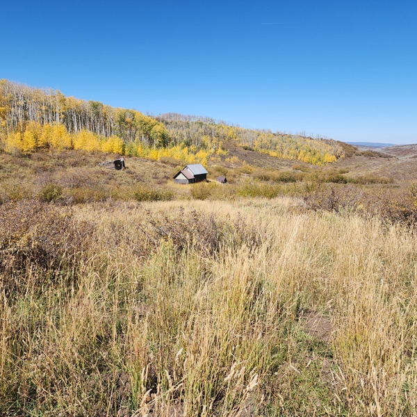Colorado Hunting Property