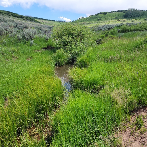Colorado Hunting Property
