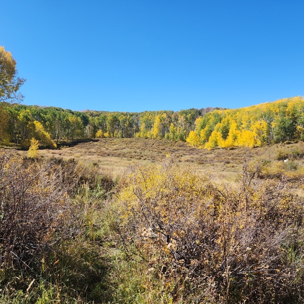 Colorado Hunting Property
