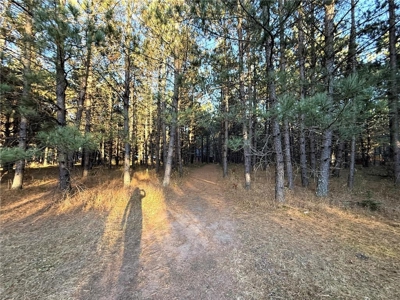 Cabin/Home on 10 Wooded Acres For Sale in Willow River MN - image 28
