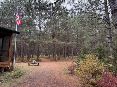 Cabin/Home on 10 Wooded Acres For Sale in Willow River MN - image 3