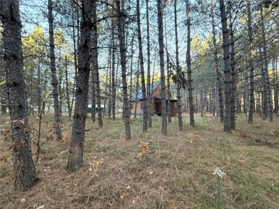 Cabin/Home on 10 Wooded Acres For Sale in Willow River MN - image 27