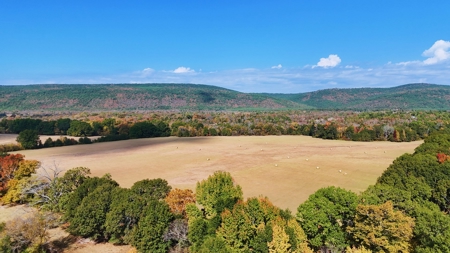 Kiamichi River Ranch For Sale Clayton Ok- Hunting Property - image 15