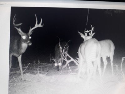 Kiamichi River Ranch For Sale Clayton Ok- Hunting Property - image 14