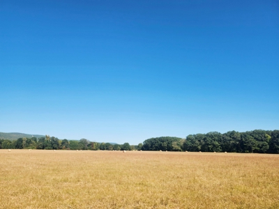 Kiamichi River Ranch For Sale Clayton Ok- Hunting Property - image 12