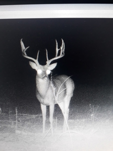 Kiamichi River Ranch For Sale Clayton Ok- Hunting Property - image 13