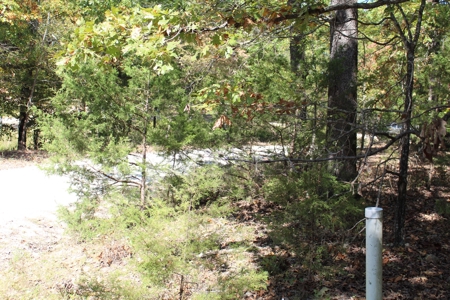 Lot 26 in Gated Community in the Ozarks on Bull Shoals Lake - image 19