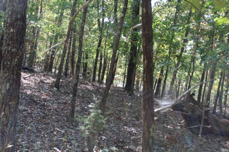 Lot 26 in Gated Community in the Ozarks on Bull Shoals Lake - image 8