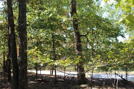 Lot 26 in Gated Community in the Ozarks on Bull Shoals Lake - image 4