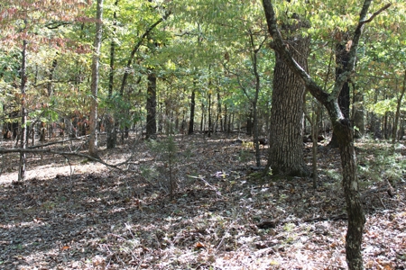 Lot 26 in Gated Community in the Ozarks on Bull Shoals Lake - image 11