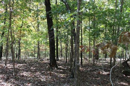 Lot 26 in Gated Community in the Ozarks on Bull Shoals Lake - image 13