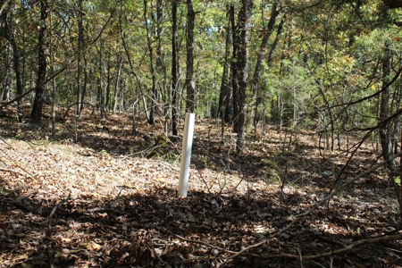 Lot 26 in Gated Community in the Ozarks on Bull Shoals Lake - image 23