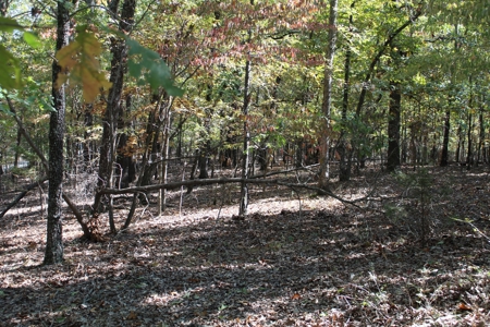 Lot 26 in Gated Community in the Ozarks on Bull Shoals Lake - image 12