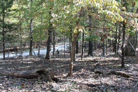 Lot 26 in Gated Community in the Ozarks on Bull Shoals Lake - image 7
