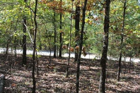 Lot 26 in Gated Community in the Ozarks on Bull Shoals Lake - image 16