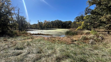 Home on Small Acreage in Clinton County - image 37