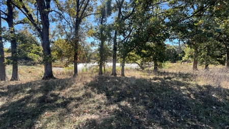 Home on Small Acreage in Clinton County - image 38