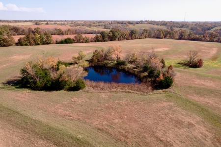 Daviess County MO Land Auction, Tillable Land Farm Auction - image 6