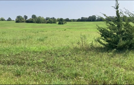 Daviess County MO Land Auction, Tillable Land Farm Auction - image 1