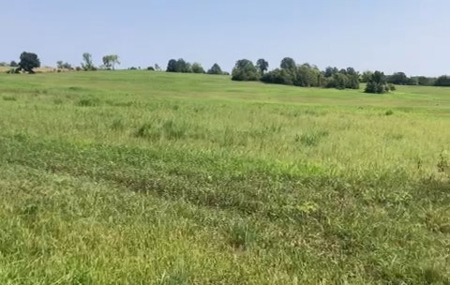 Daviess County MO Land Auction, Tillable Land Farm Auction - image 3