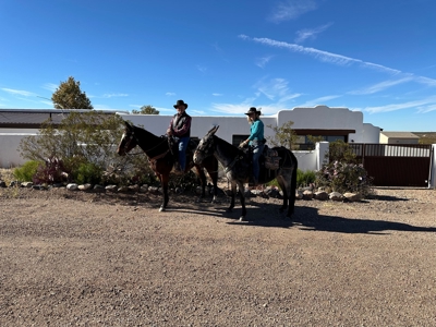 Custom southwestern style home in Tombstone, AZ - image 47