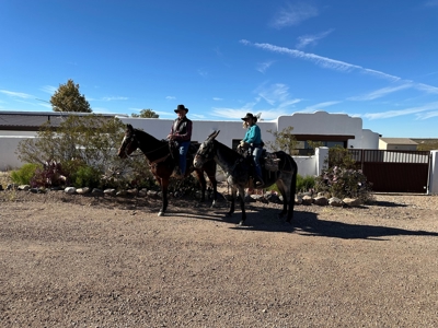 Custom southwestern style home in Tombstone, AZ - image 48