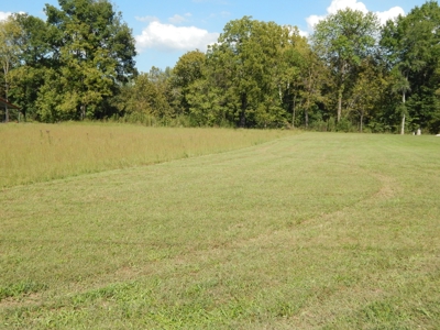 For Sale: 2± Acres on the Buffalo River – Waynesboro, TN - image 10